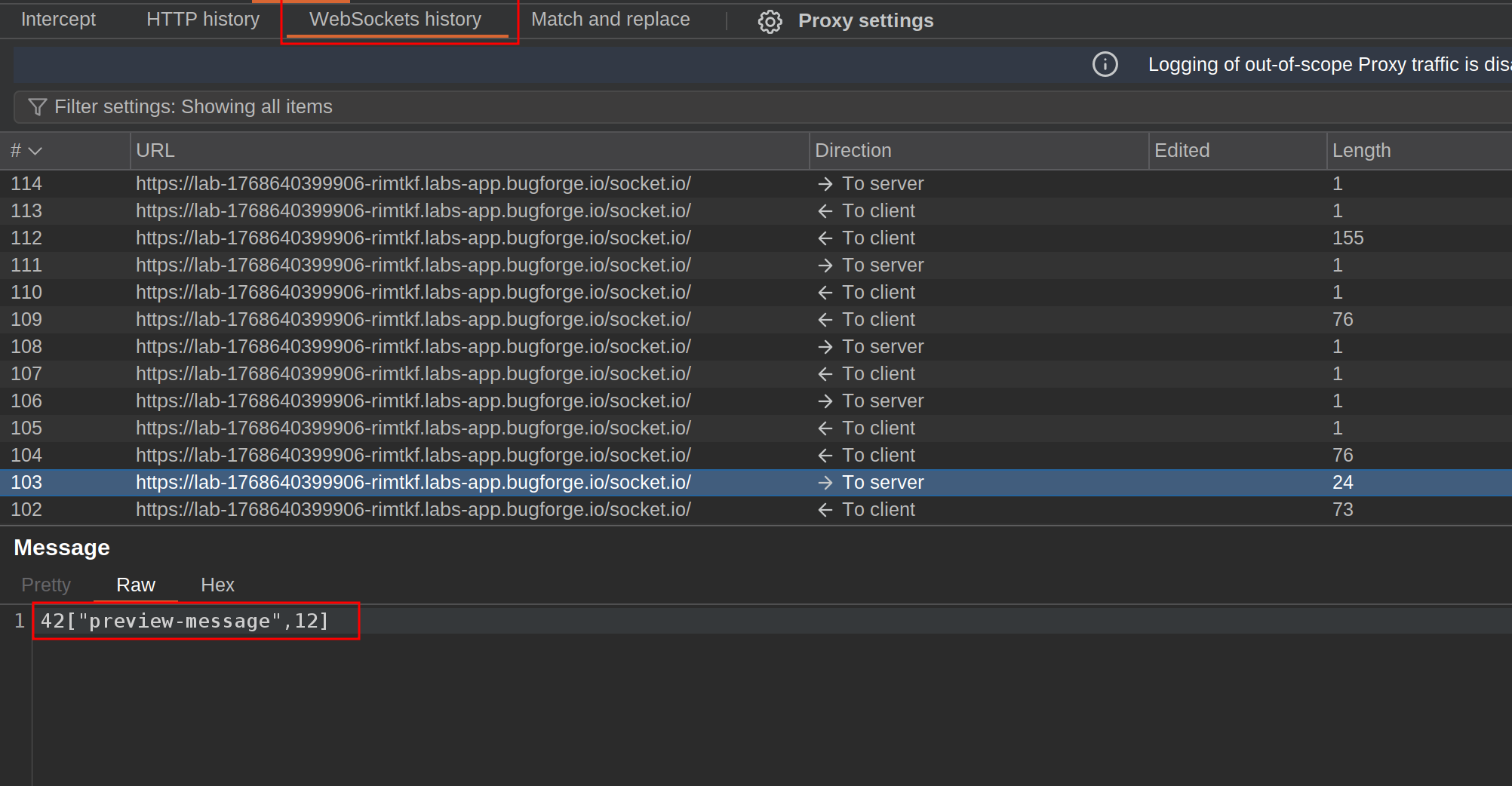Preview message WebSocket
